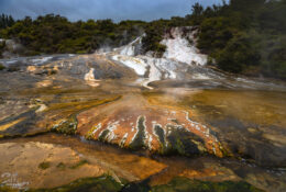 New Zealand 2025 (2 group) (28/84)